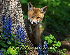 Cal. Swiss Animals Ft. 40x31 2019